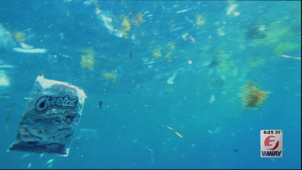 Plastic Ocean Project To Host 'for The Ocean Gala' Fundraiser