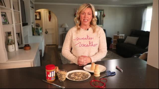 Mom To Mom: Building A Diy Bird Feeder With The Family