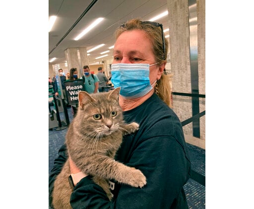 Snowbird Kitty: Lost Cat Heads Home To Maine — From Florida
