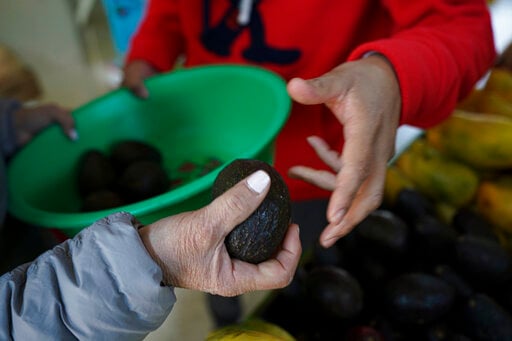 Mexico Says Conspiracy Behind Avocado Ban; Us Cites Violence