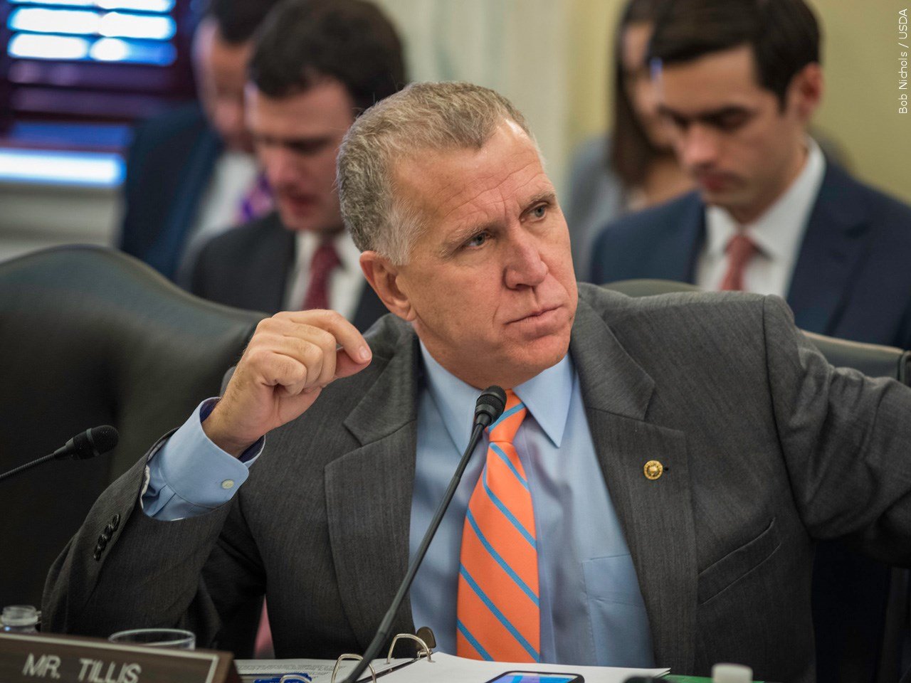 Tillis calls on Biden administration to take action to lower record-high fertilizer prices – WWAYTV3