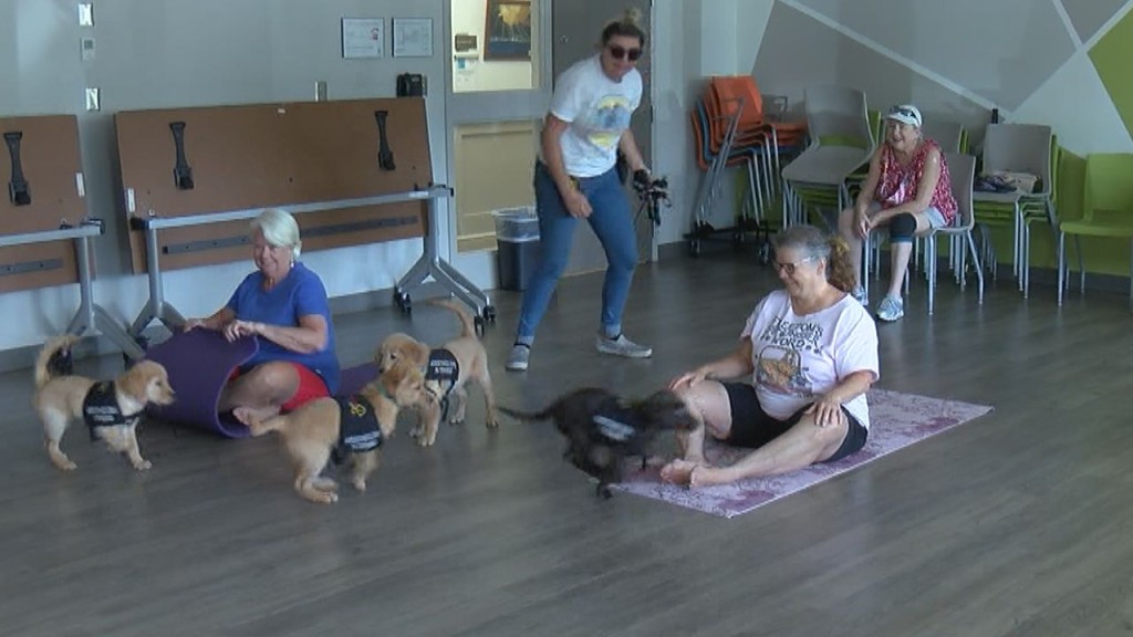 Puppy Yogalates Held At The New Hanover County Senior Resource Center