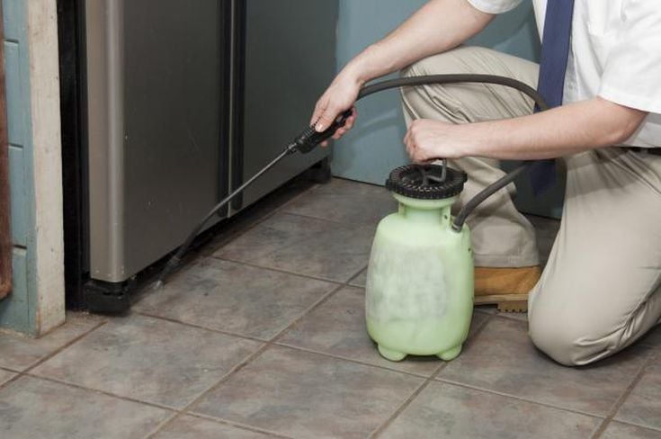 Exterminator 56641a3a5f9b583dc37a5c07