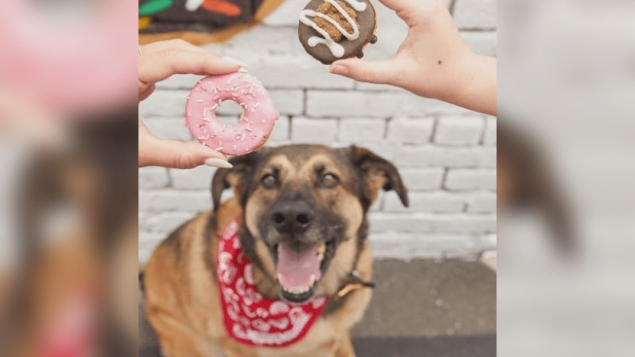 Krispy Kreme Doughnuts celebrating National Dog Day with Doggie