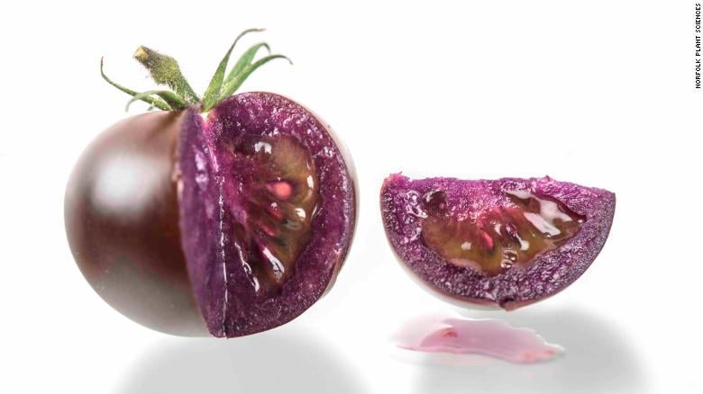 Purple Tomato