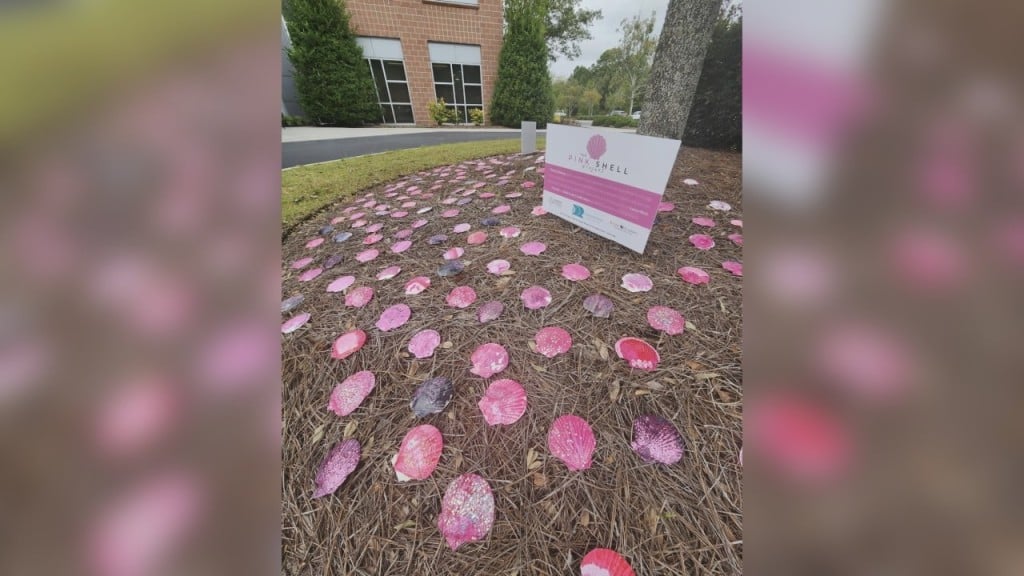 Wilmington Radiology Group Begins 'Pink Shell Project', Raising Breast ...