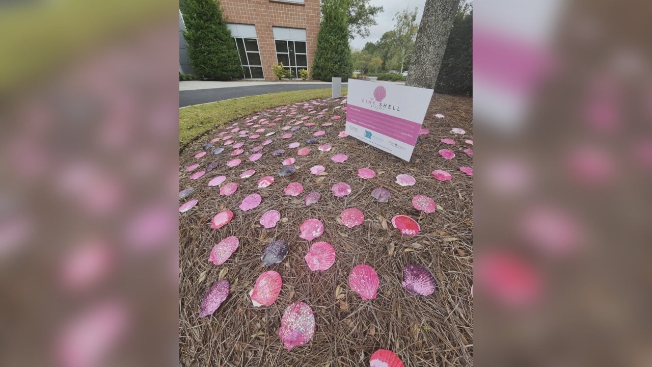 Wilmington radiology group begins 'Pink Shell Project', raising breast cancer awareness