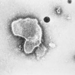 Kids Virus Surge
