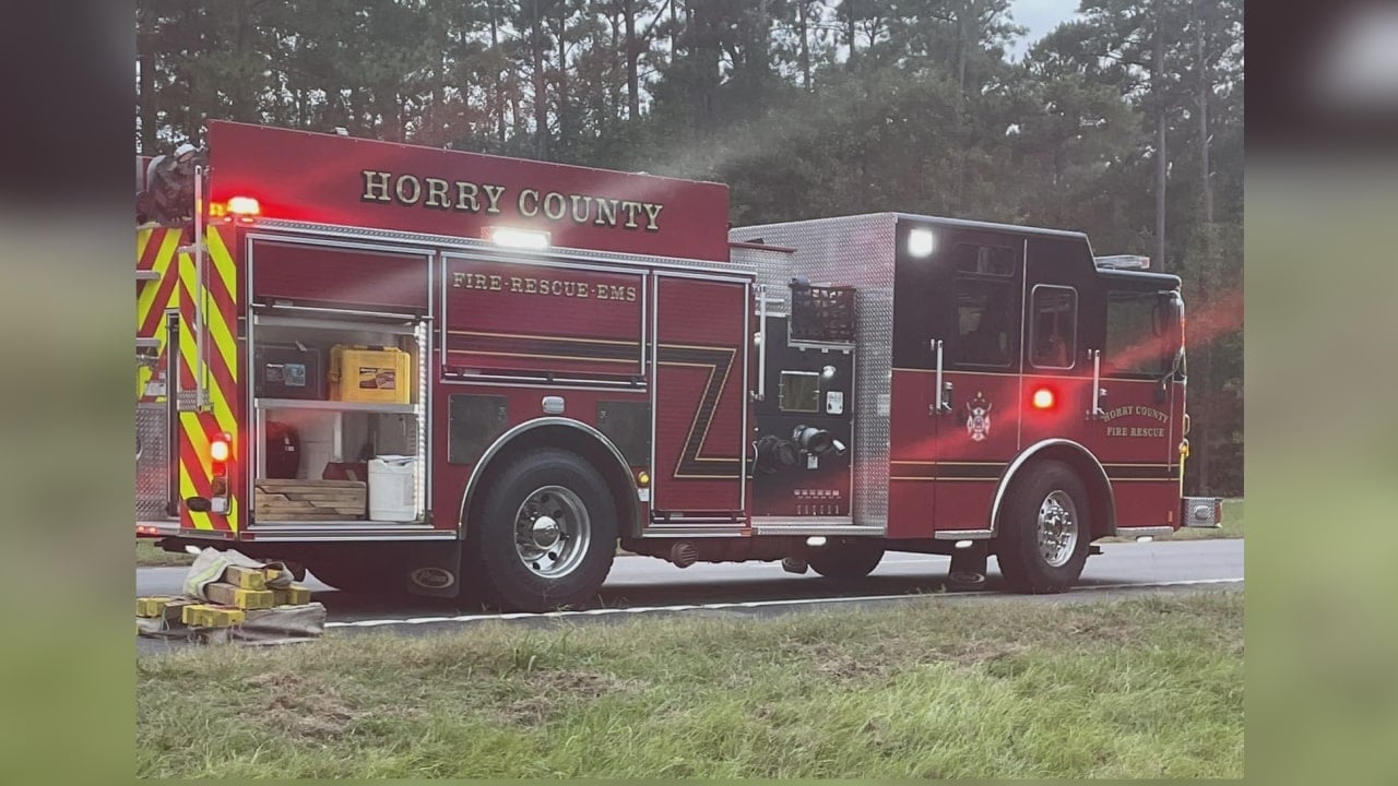 1 dead after Horry County school bus fails to yield, truck driver hit ...