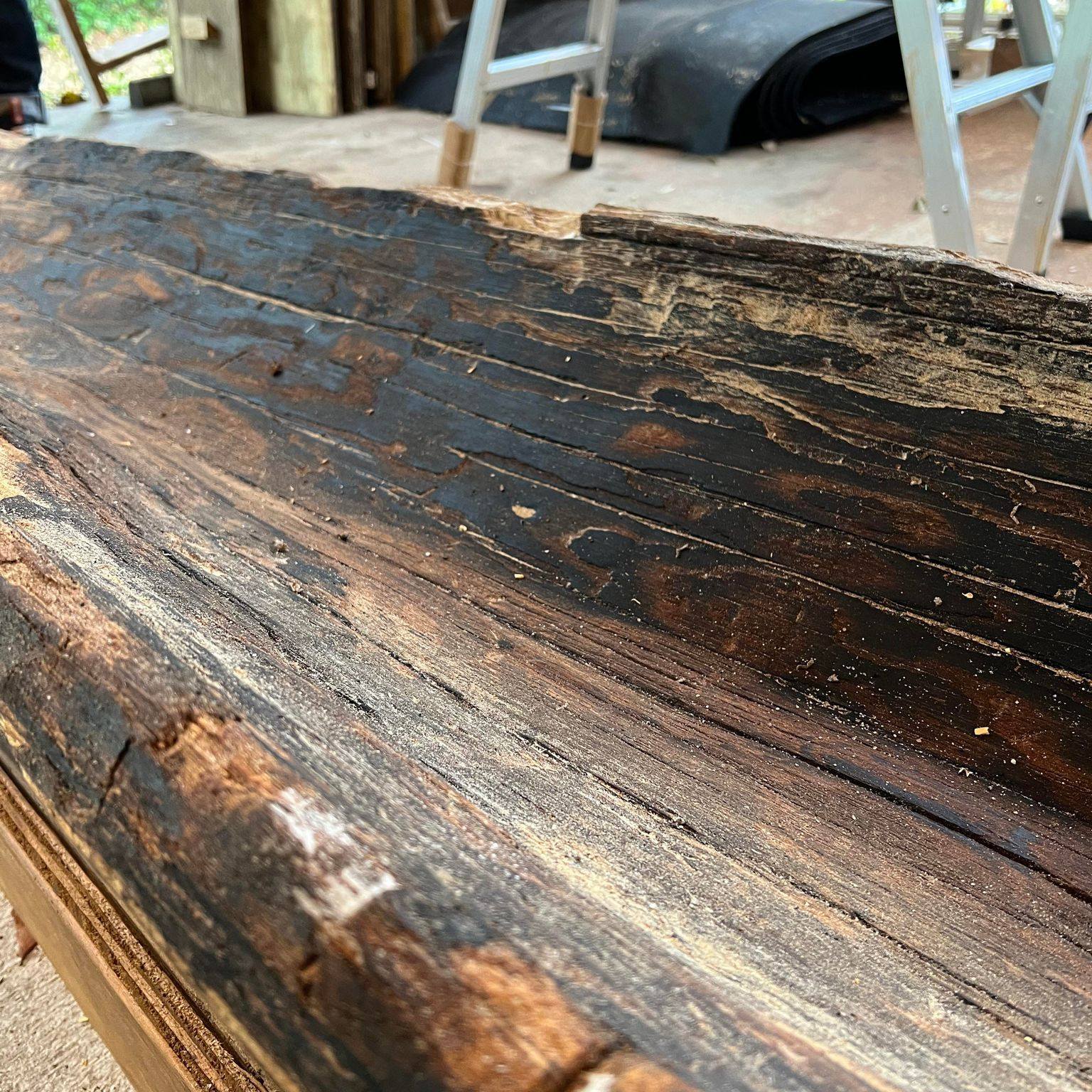 Crews discover 940yearold canoe near Lake Waccamaw WWAYTV3