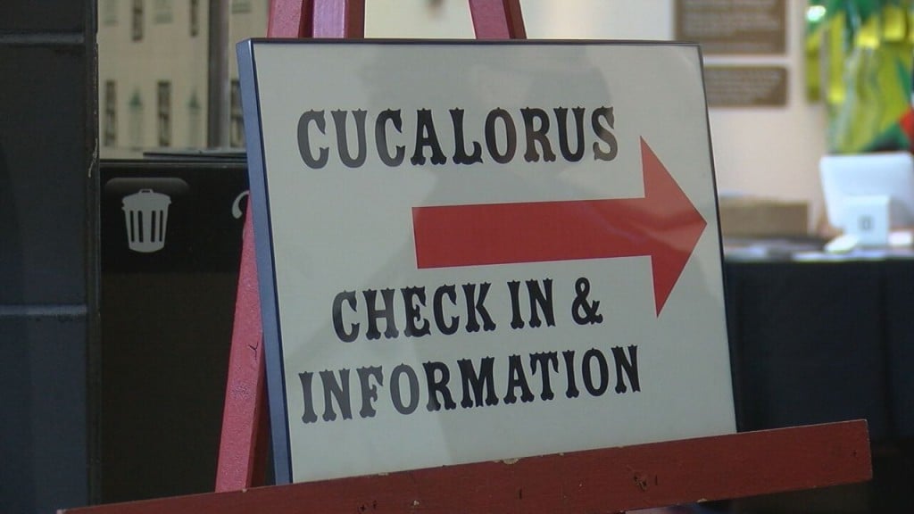 Final Preparations Underway For The 28th Annual Cucalorus Film Festival