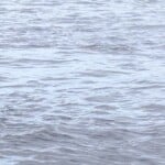 Cape Fear River