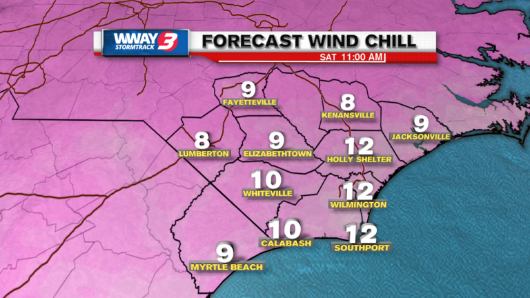 Arctic blast to bring coldest Christmas Eve, Day in decades - WWAYTV3