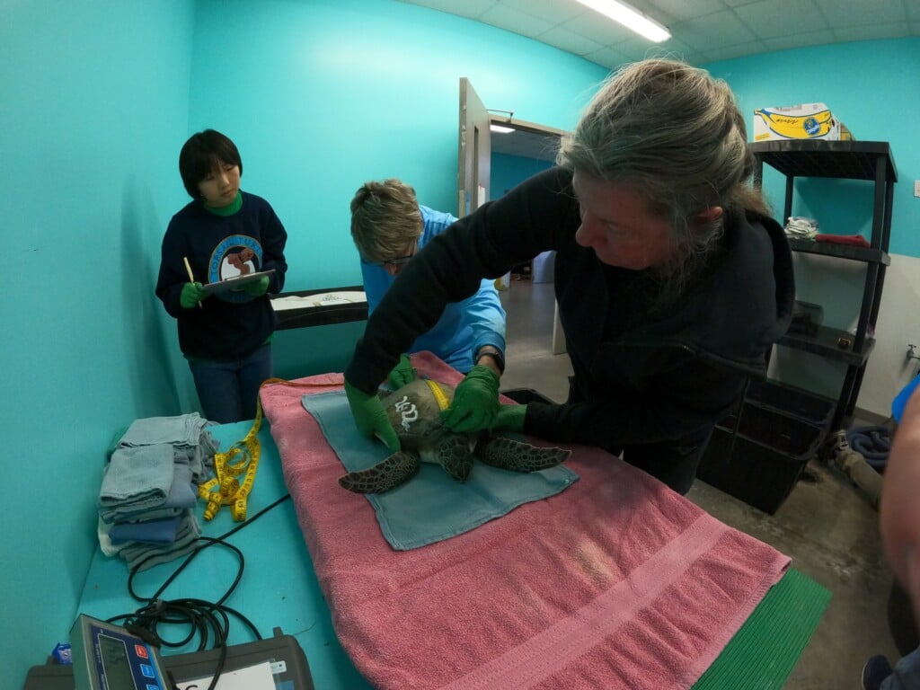 Dcim101goprogopr1838.jpg