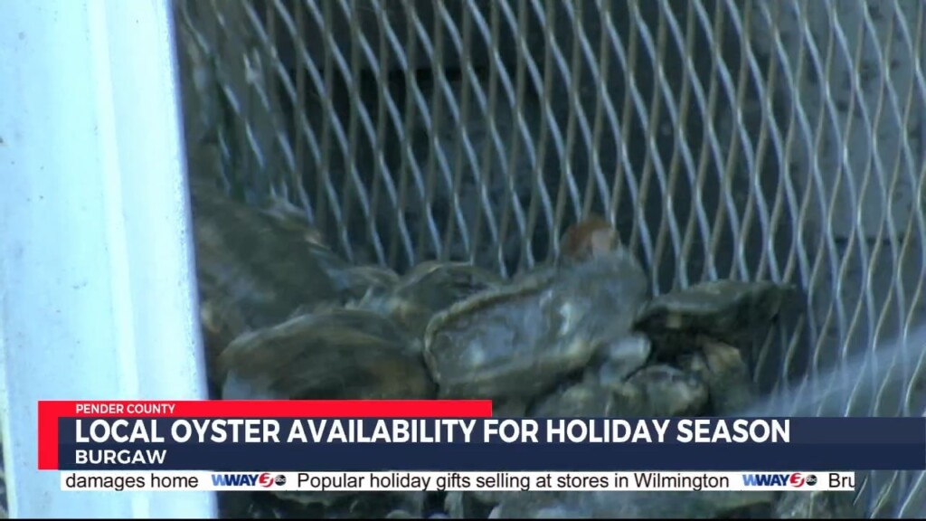 Oyster Availability During Holiday Season