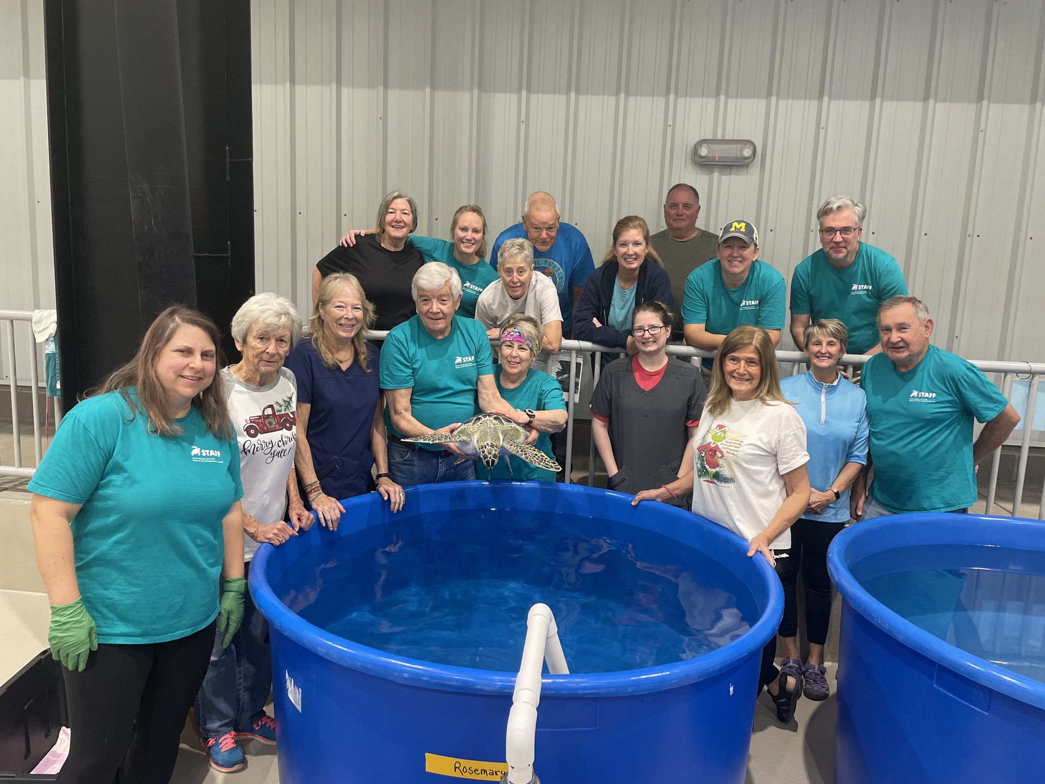 Sea Turtle Rescue releases formerly cold stunned turtle after year at ...