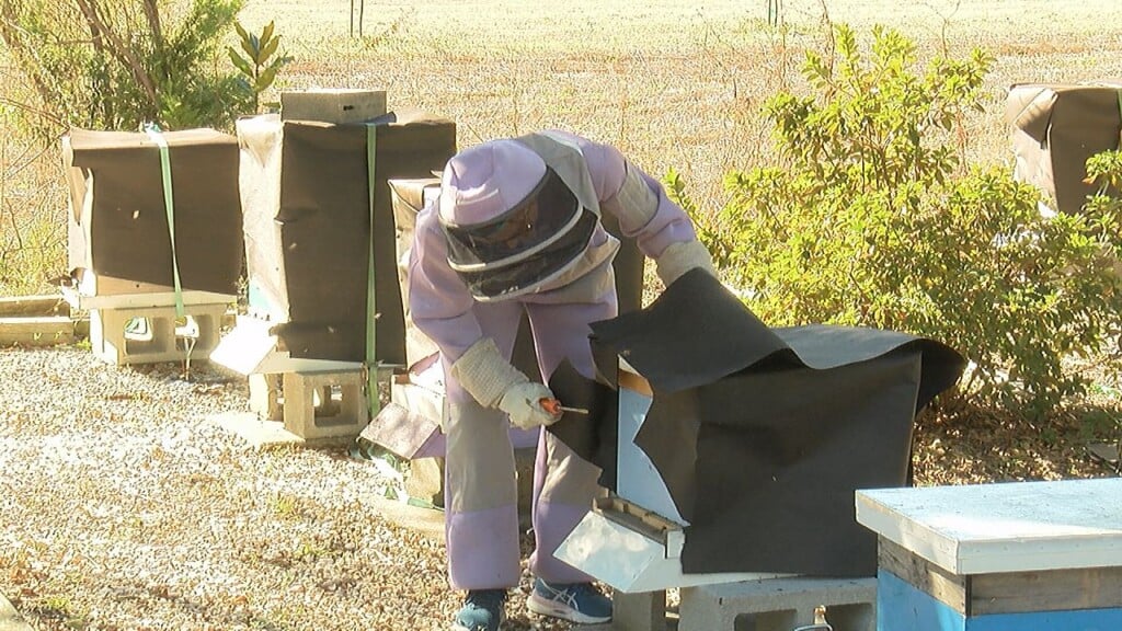 Beekeeping