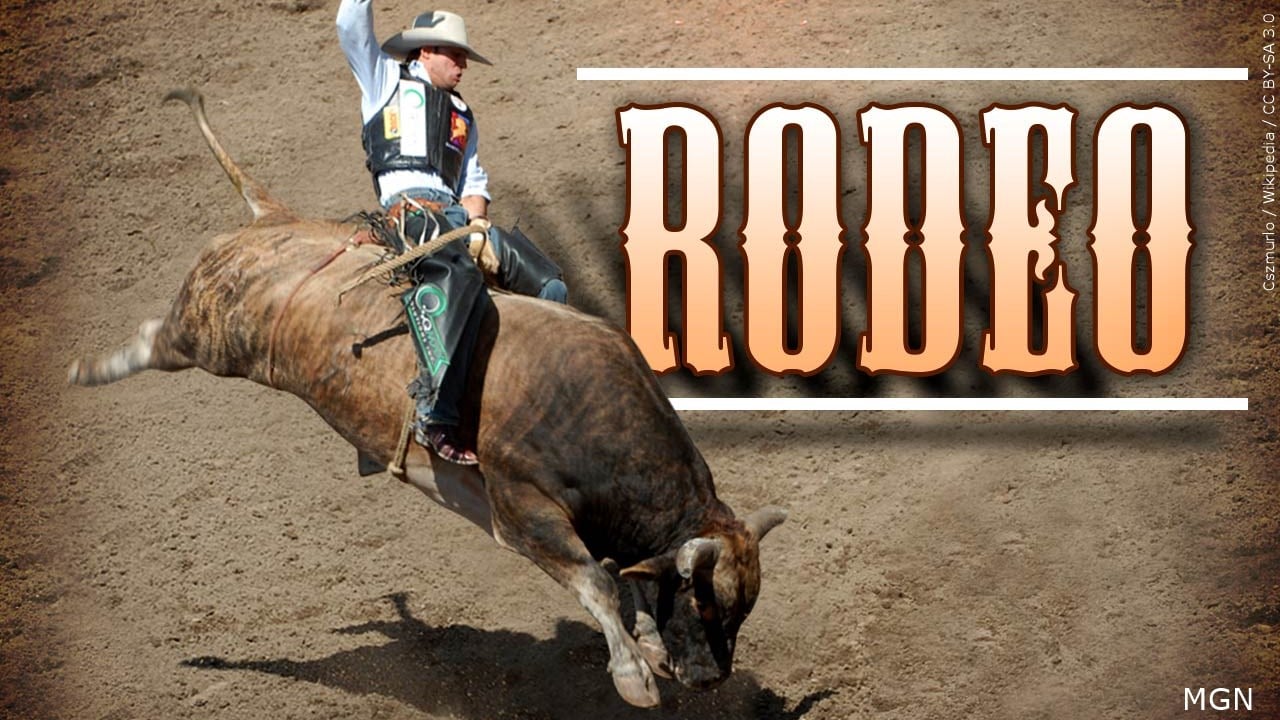 14yearold bull rider dies in North Carolina rodeo accident WWAYTV3