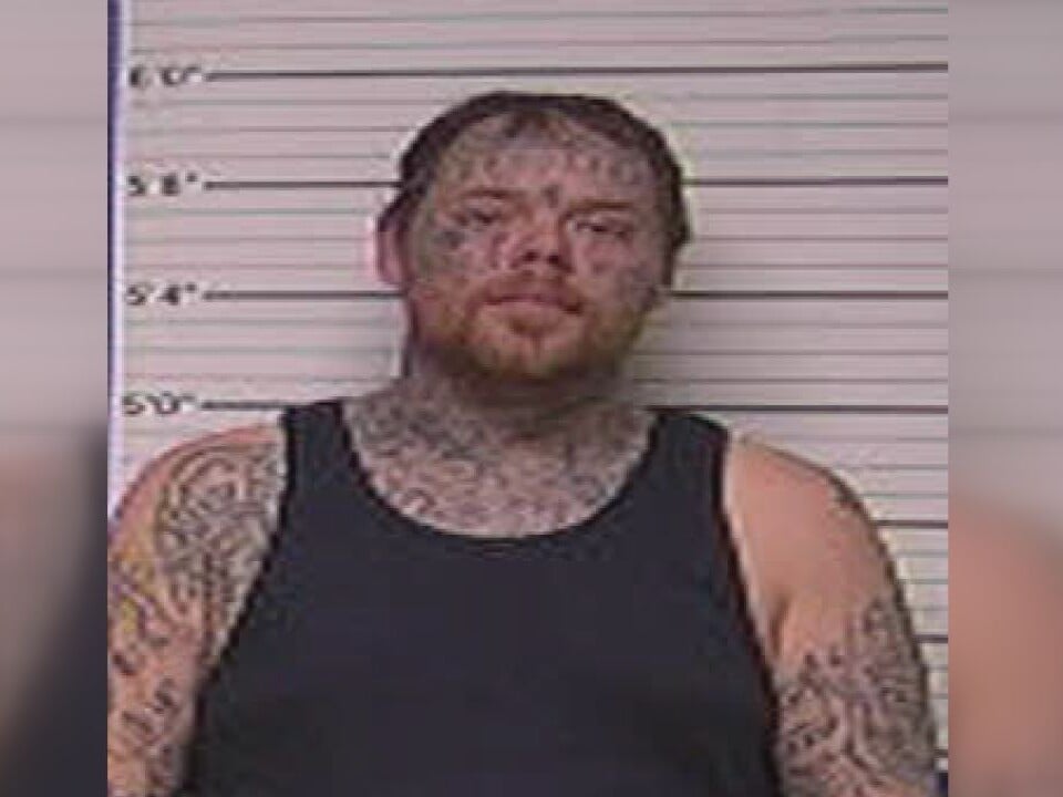 Bladen County wanted felon arrested on weapon, methamphetamine charges