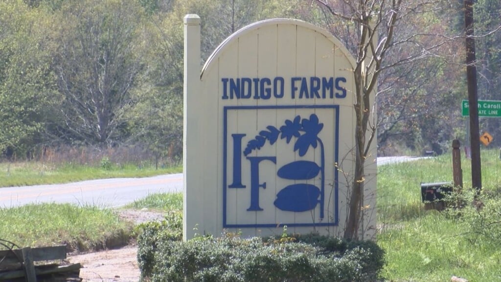 Local Farms Invite People To Pick Their Own Strawberries