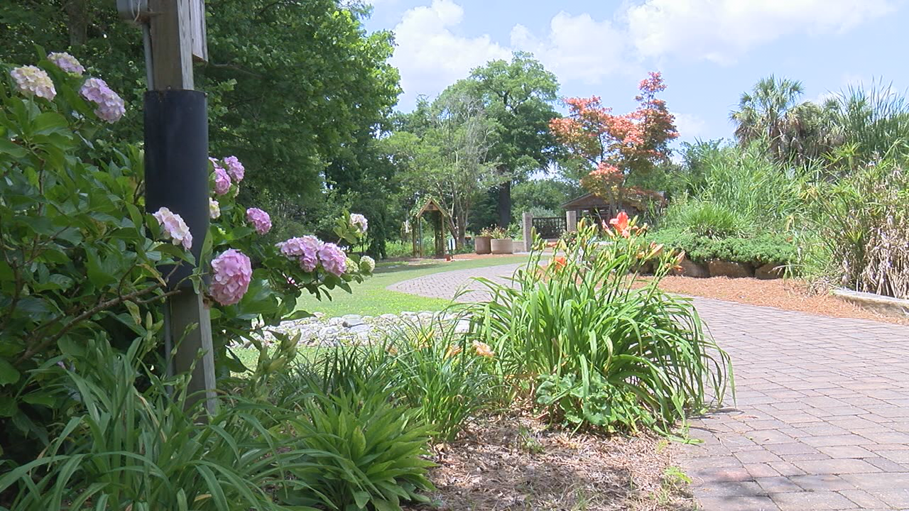 New Hanover County Arboretum no longer offering weddings - Vimarsana News