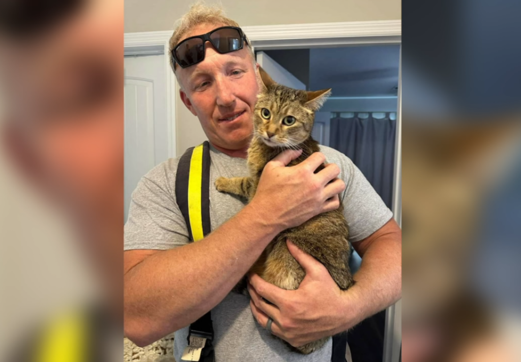 Cat Save