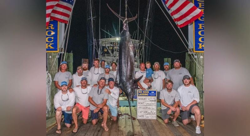 Marlins