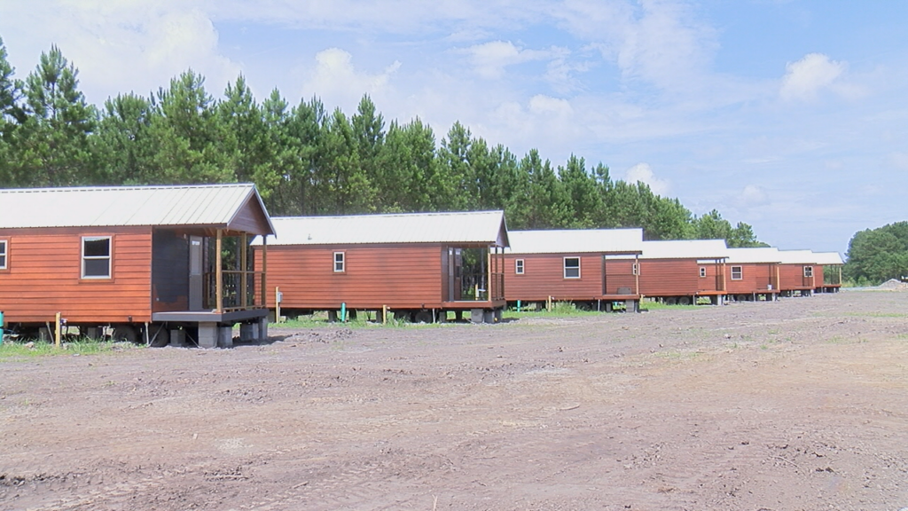 In The Pines