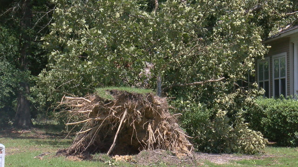 Microburst