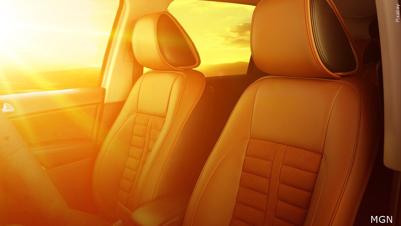 Toddler dies in hot car after grandmother forgets to drop her off at ...