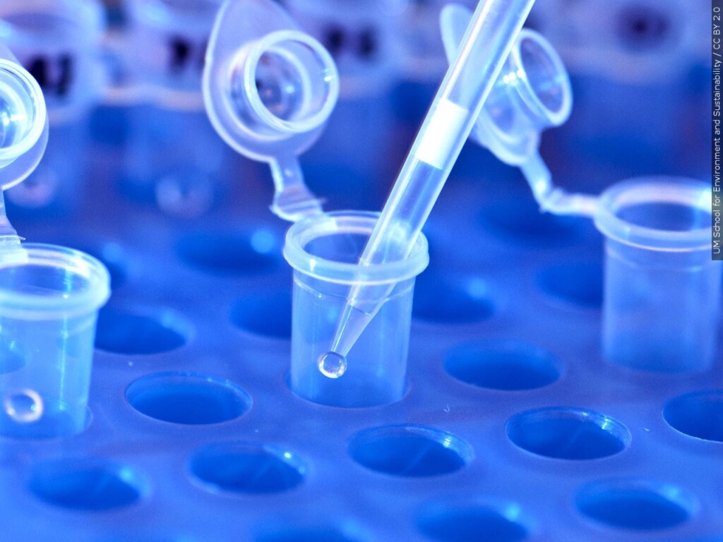 DNA testing