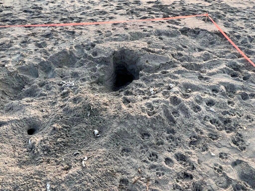 Sand