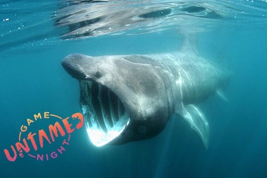 North Carolina Aquarium Society hosting trivia to support shark  conservation - WWAYTV3
