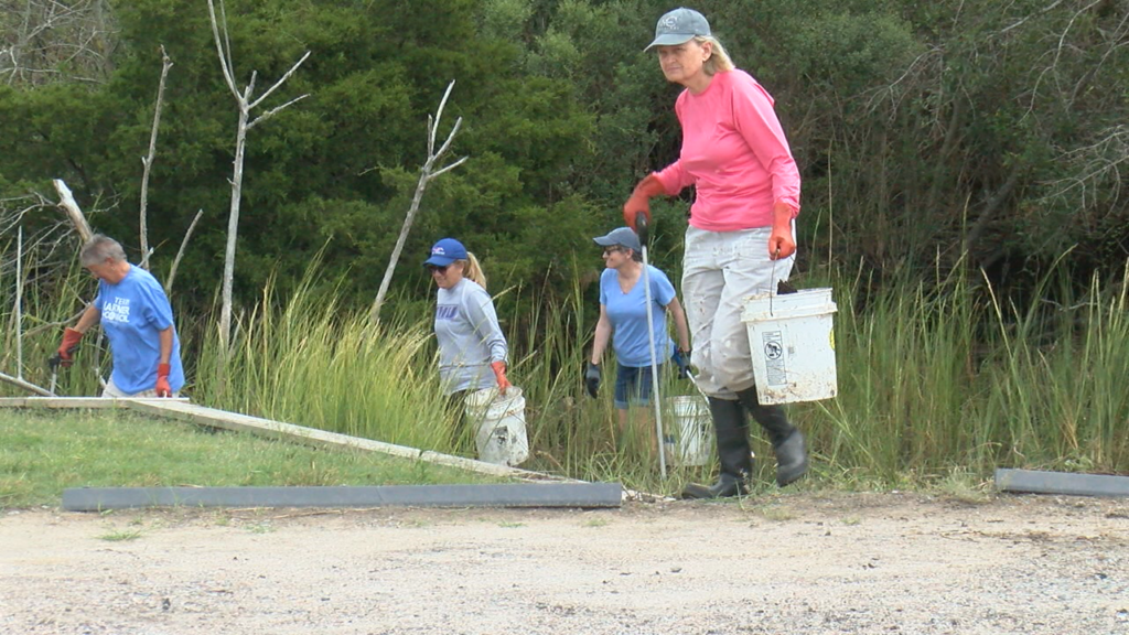 Volunteers cleaning up Oak Island shoreline