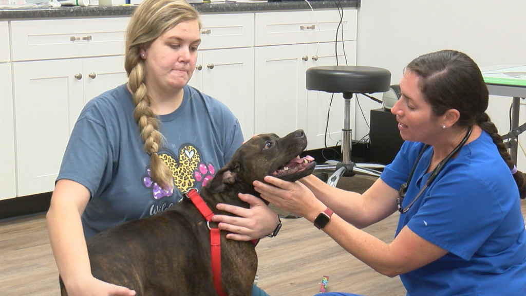 Four Paws Vet Hospital