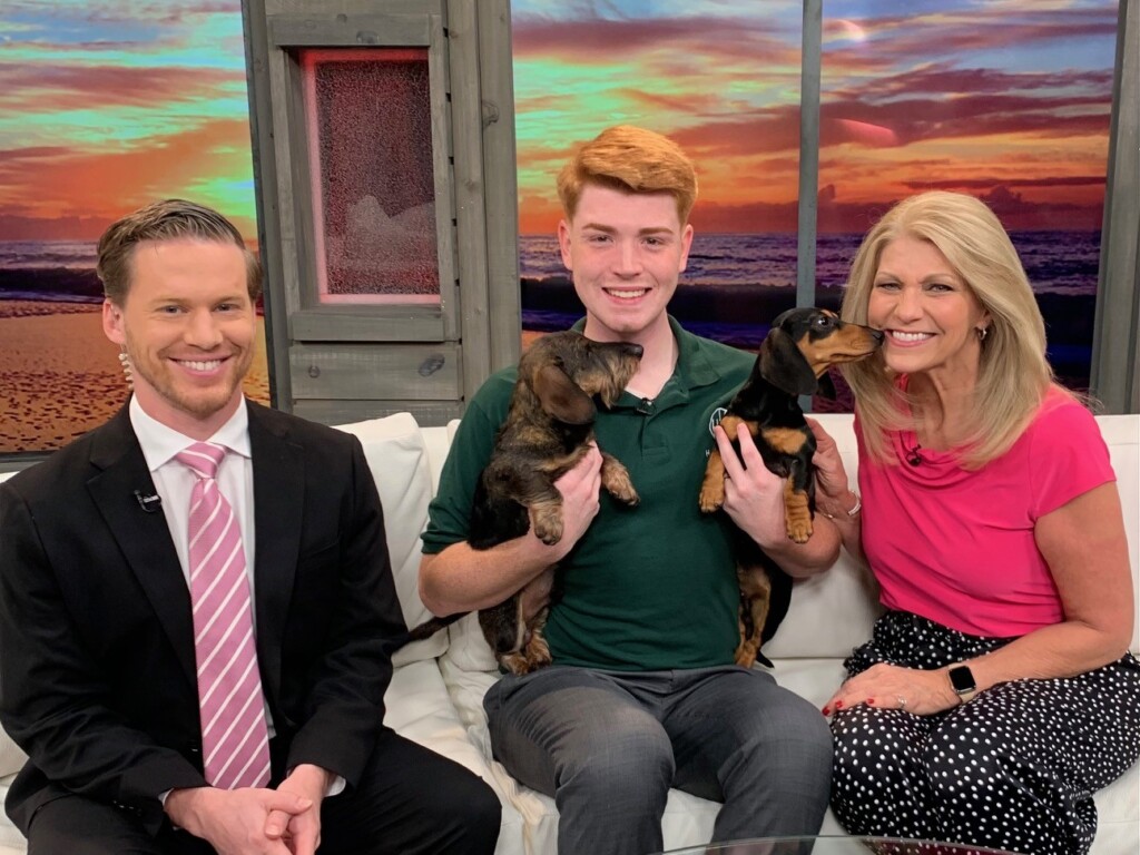 Jared New And Dog Show Preview On Good Morning Carolina