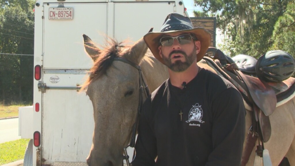 Horse Veteran