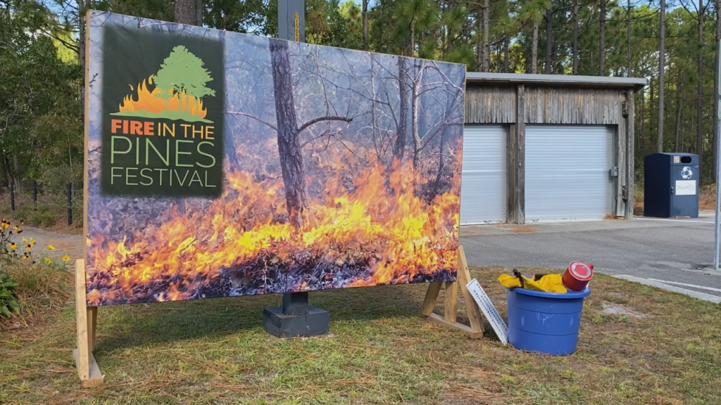 Fire In The Pines