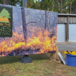 Fire In The Pines