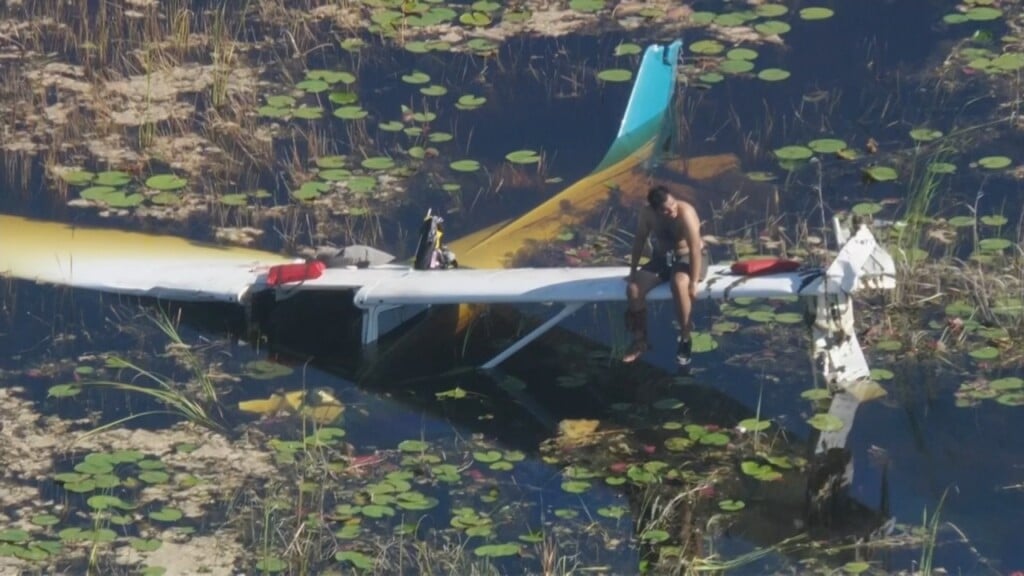 Pilot Everglades