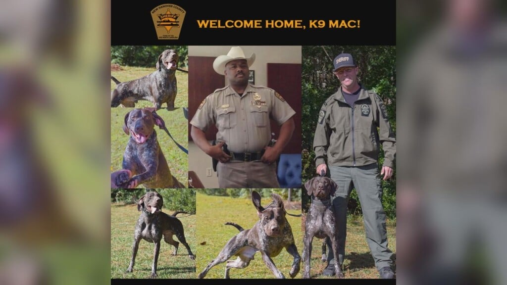 K9