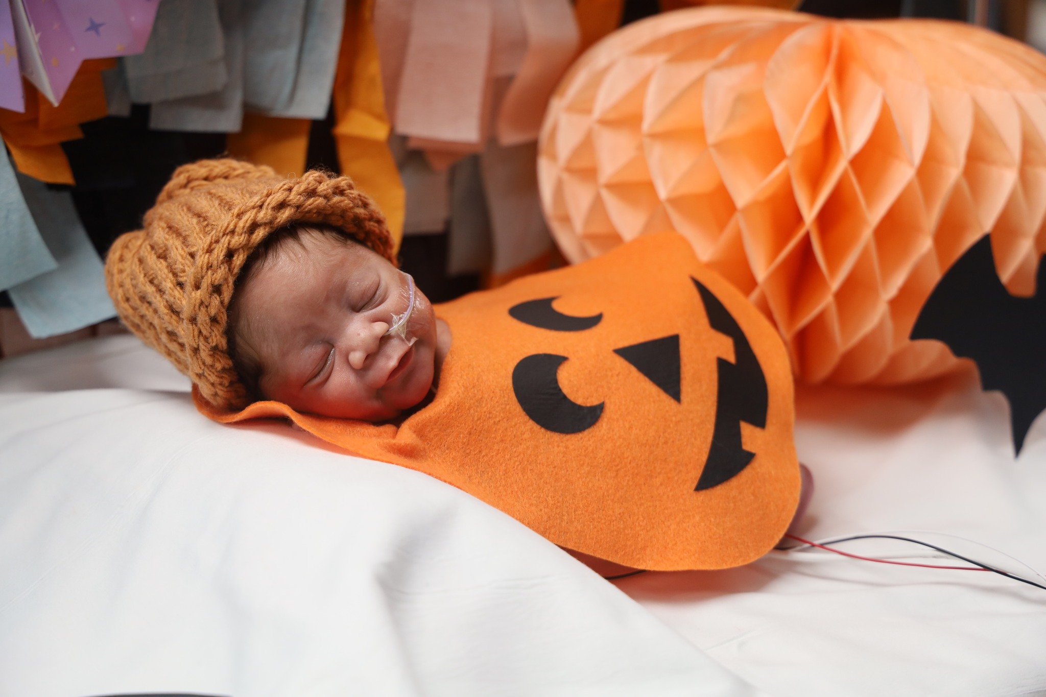 IMAGES, U of L NICU babies dress up for Halloween!, News