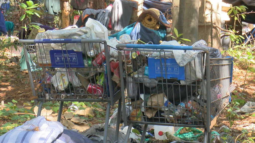 Homeless Encampment