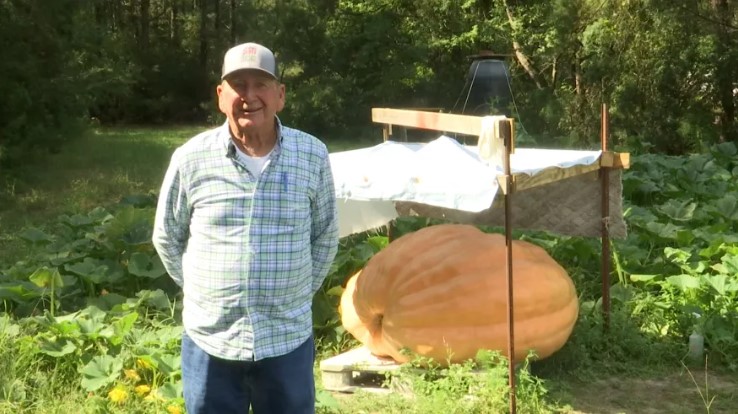 Donald Murphy pumpkin