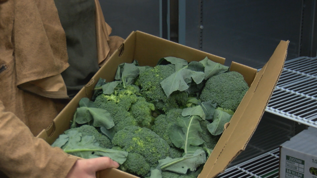 One non-profit in the Cape Fear is experiencing a loss of funding and is asking for your help, (Photo: Emily Andrews/WWAY News).