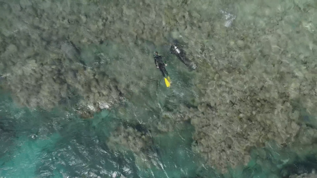Two scientists swim through coral on Australia's Great Barrier Reef.
