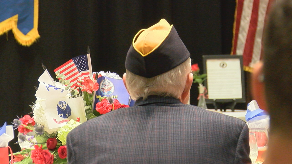Salute To A Vet