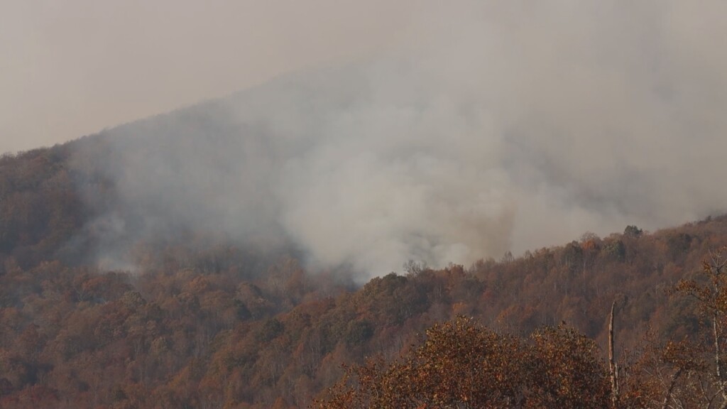 Wildfire