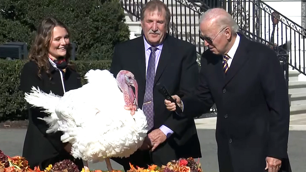 Biden Turkey