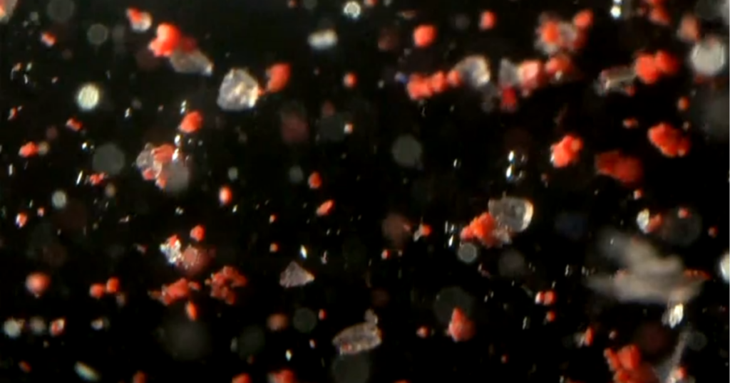 Microplastics show that a lot of what we think is disposable never really goes away.